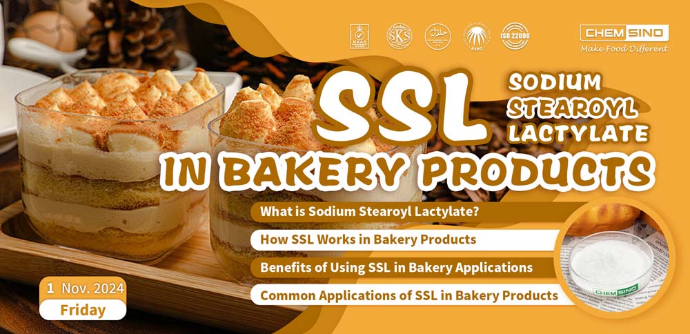 Sodium Stearoyl Lactylate (SSL) in Bakery Products